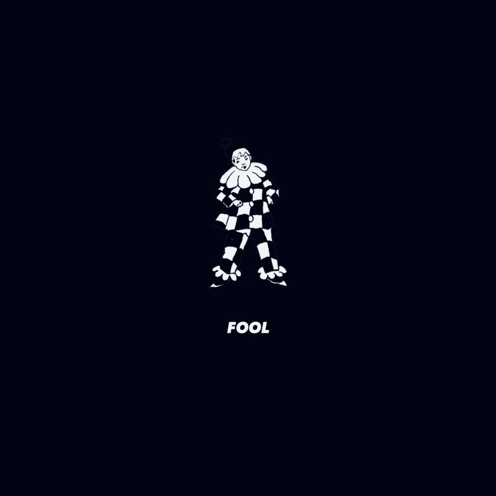 Fool